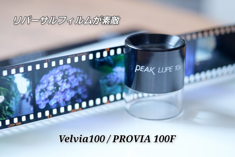 リバーサルフィルムが楽しい【Velvia100 / PROVIA 100F】